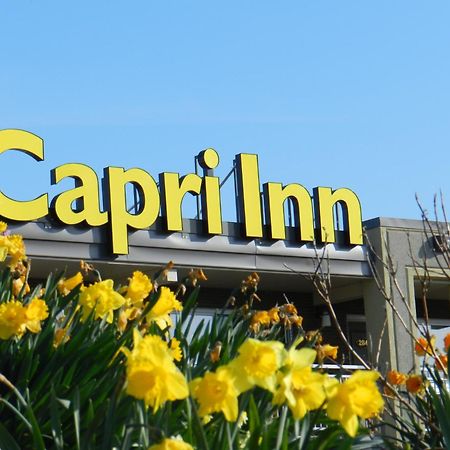 Capri Inn Sainte-Catherine Exterior foto