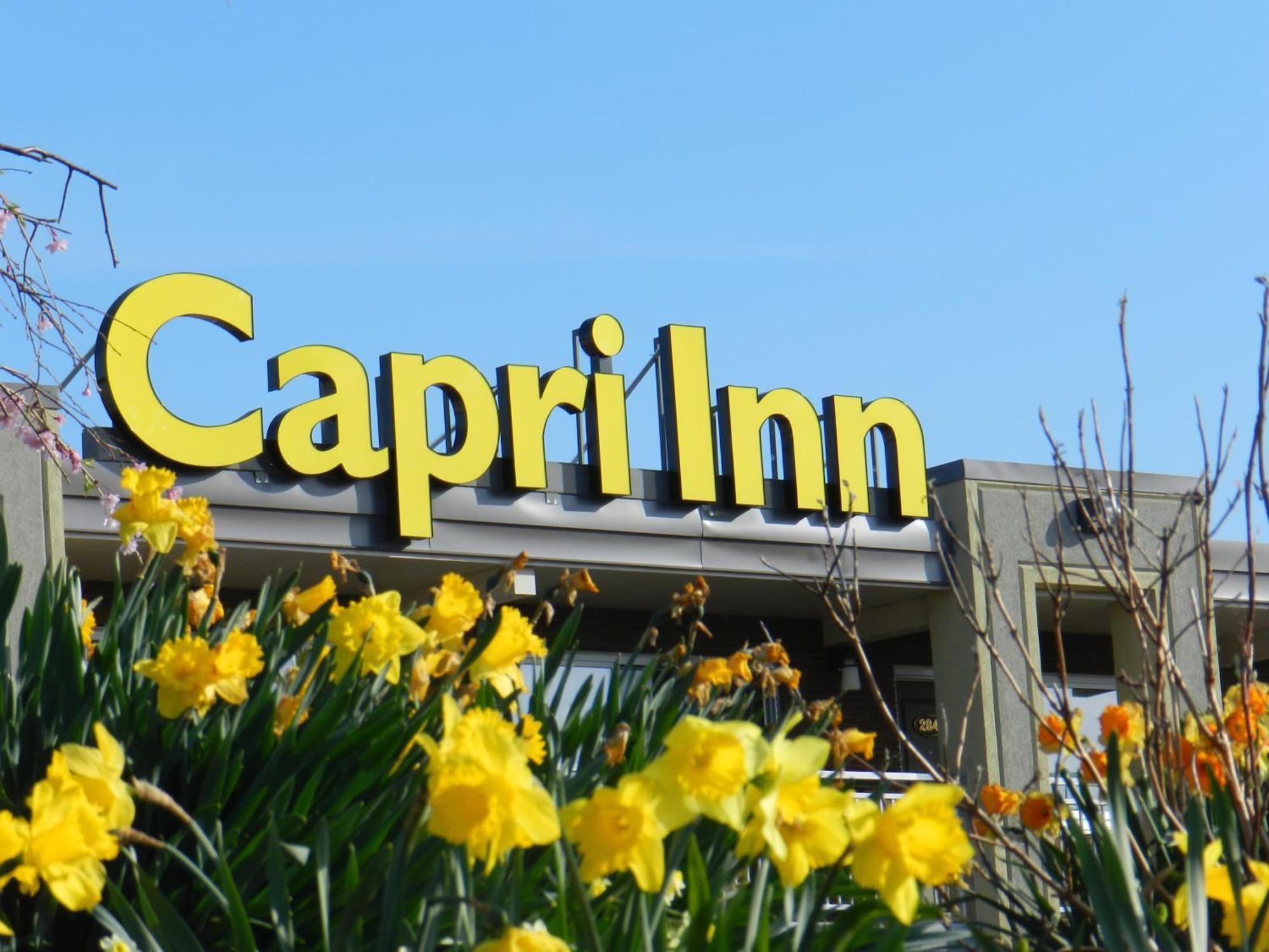 Capri Inn Sainte-Catherine Exterior foto