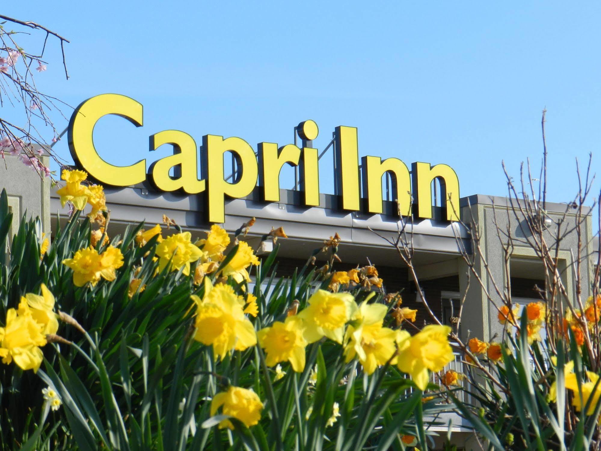 Capri Inn Sainte-Catherine Exterior foto