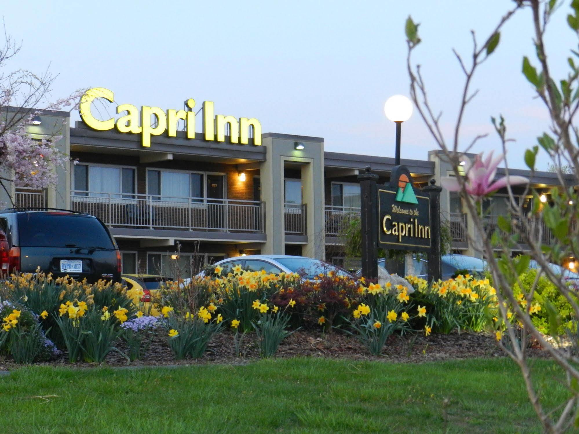 Capri Inn Sainte-Catherine Exterior foto